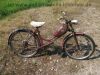 Miele_50_Moped_1955_BING-Vergaser_f__Sachs_Motor_1PS_48cc_Mielewerke_AG_Wittkop_Sattel_-_wie_Miele_K_50_S_38.jpg