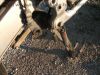 Honda_XL_600_V_Transalp_Enduro_PD06_Crash_1__Hd__37kW_58_901_Km_-_wie_XRV_650_750_Africa_Twin_RD03_RD04_XR_XL_600_RM_LM_R_PD03_PE04_PD04_39.jpg