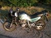 Honda_XL_600_V_Transalp_Enduro_PD06_Crash_1__Hd__37kW_58_901_Km_-_wie_XRV_650_750_Africa_Twin_RD03_RD04_XR_XL_600_RM_LM_R_PD03_PE04_PD04_60.jpg
