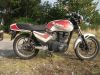 Suzuki_GSX_400_S_GK53C_weiss-rot_Wrack_-_wie_GSX_250_400_E_S_GK51C_GK53B_13.jpg