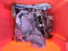 Honda_GL_1100_DX_Aspencade_Interstate_Goldwing_SC02_Ersatzteile_spares_spare_parts_Motor_Vergaser_engine_etc__25.jpg