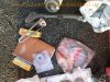 Honda_GL_1100_DX_Aspencade_Interstate_Goldwing_SC02_Ersatzteile_spares_spare_parts_Motor_Vergaser_engine_etc__29.jpg