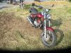 Kawasaki_BN_125_A_Eliminator_rot_-_Chopper_wie_EL_125_250_252_ZL_600_A_B_19.jpg