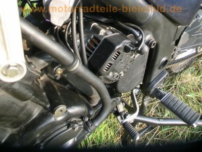 Triumph_Tiger_885i_T709_Enduro_blau_1__Hd__Sturzbuegel_-_wie_Trident_Daytona_Speed_Triple_900_955i_T300_T400_69.jpg