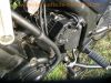 Triumph_Tiger_885i_T709_Enduro_blau_1__Hd__Sturzbuegel_-_wie_Trident_Daytona_Speed_Triple_900_955i_T300_T400_69.jpg