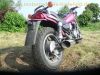 Kawasaki_ZL_600_A_Eliminator_brombeer_Chopper_Cruiser_-_wie_EL_250_252_ZL_900_1000_9.jpg