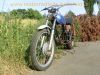 Honda_XL_250_K_1975_Enduro_Scrambler__-_wie_SL_CL_TL__XL_CB_70_90_100_125_175_185_200_250_350_K_46_.jpg