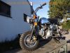 Skyteam_ST_110_-_8_CHROM_Mokick_Monkey_125_-_Nachbau_Replica_Honda_Z_50_Monkey_ST_50_DAX__27.jpg