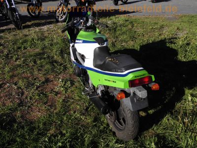 Kawasaki_GPZ_600_R_ZX600A_orig__weiss-gruen-blau_MRA_-_wie_ZX_GPX_600_750_R_B_C_28.jpg