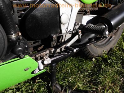 Kawasaki_GPZ_600_R_ZX600A_orig__weiss-gruen-blau_MRA_-_wie_ZX_GPX_600_750_R_B_C_45.jpg