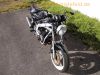 Suzuki_GS_500_E_GM51B_schwarz_mit_Jack_Daniels_Tank_-__wie_GM51A_42.jpg