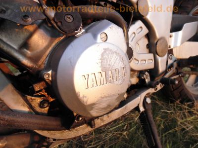 Yamaha_FZR_600_Genesis_3HE_Sturz_Do-Sw_Oel-_Wasser-Kuehlung_67.jpg
