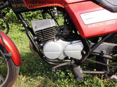Honda_MCX_80_S_HC05_rot_Chopper_original_-_wie_MT5_MT8_MB5_MB8_MB_MT_MTX_MBX_50_80_C_HD06_HC01_HC02_HC03_HC04_12.jpg
