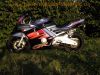Honda_CBR_600_F_F2_PC25_hellblau_sehr_gepflegt_26tkm_-_wie_PC31__30.jpg