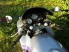 Honda_CBR_600_F_F2_PC25_hellblau_sehr_gepflegt_26tkm_-_wie_PC31__45.jpg