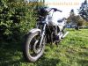 Suzuki_GS_850_G_Kardan_EZ_1985_59kW_Krauser-Koffertraeger_-_wie_GS_550_650_750_1000_1100_E_M_G_57.jpg