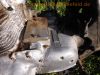 Honda_CB_750_Four_K7_Wrack_Motor_dreht_-_wie_K0_K1_K2_K3_K4_K5_K6_K8_F1_F2_F3_62.jpg