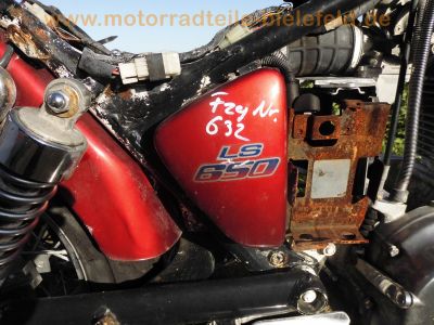 Suzuki_LS_650_SAVAGE_Crashtest_rot_Motor_komplett_39.jpg