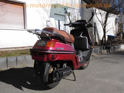Honda_CH_250_Elite_250_rot_4-Takt_Gross-Roller_-_wie_Spacy_250_CN_250_Helix_2.jpg