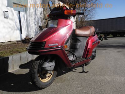 Honda_CH_250_Elite_250_rot_4-Takt_Gross-Roller_-_wie_Spacy_250_CN_250_Helix_32.jpg
