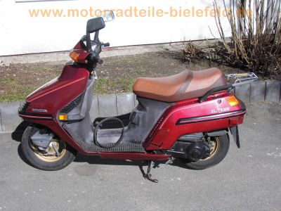 Honda_CH_250_Elite_250_rot_4-Takt_Gross-Roller_-_wie_Spacy_250_CN_250_Helix_35.jpg