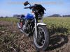 Yamaha_XJ_900_4BB_blau-weiss_Sturz_4-1_Auspuff_-_wie_XJ_650_700_750_F_31A_58L_3NG_2HL_4K0_41Y_11M_12.jpg