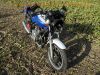 Yamaha_XJ_900_4BB_blau-weiss_Sturz_4-1_Auspuff_-_wie_XJ_650_700_750_F_31A_58L_3NG_2HL_4K0_41Y_11M_13.jpg