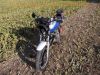 Yamaha_XJ_900_4BB_blau-weiss_Sturz_4-1_Auspuff_-_wie_XJ_650_700_750_F_31A_58L_3NG_2HL_4K0_41Y_11M_71.jpg