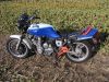 Yamaha_XJ_900_4BB_blau-weiss_Sturz_4-1_Auspuff_-_wie_XJ_650_700_750_F_31A_58L_3NG_2HL_4K0_41Y_11M_72.jpg