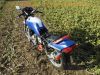 Yamaha_XJ_900_4BB_blau-weiss_Sturz_4-1_Auspuff_-_wie_XJ_650_700_750_F_31A_58L_3NG_2HL_4K0_41Y_11M_73.jpg