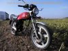 Honda_CB_400_N_Wrack_ohne_Motor_unfallfrei_Vergaser_Gabel_Lampe_Blinker_OK_-_wie_CB_CM_250_400_450_N_T_2.jpg