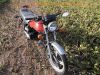 Honda_CB_400_N_Wrack_ohne_Motor_unfallfrei_Vergaser_Gabel_Lampe_Blinker_OK_-_wie_CB_CM_250_400_450_N_T_6.jpg
