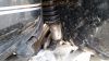 Honda_GL_1100_SC02_schwarz_Verkleidung_Koffer_Sturzbuegel_JAMA_Edelstahl-Auspuff_Radio_Highway-Bars_-_wie_GL1000_GL1_GL2_47.jpg