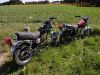 Suzuki_GN_125_2x_Wrack_ohne_Motor_als_Ersatzteile_Gabel_Raeder_Sitzbank_Tank_Instrumente_Schutzblech_Kotfluegel_-_wie_GN250_GN400_1.jpg