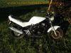 Suzuki_GS_500_E_GM51B_weiss_46PS_34kW_Stahlflex_SEBRING_Evolution_Sport-Auspuff_5.jpg