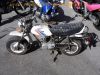 Honda_CY50_weiss_Mokick_unverbastelt_original_Tank_Auspuff_-_Motor_wie_XL50_CB50J_47.jpg