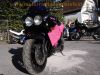 Suzuki_GSX-R750_Pink_Pussy_GR77B_luft-oel_Superbike-Lenker_Sozius-Abdeckung_-_wie_GSXR_750_1100_GR7AB_40.jpg