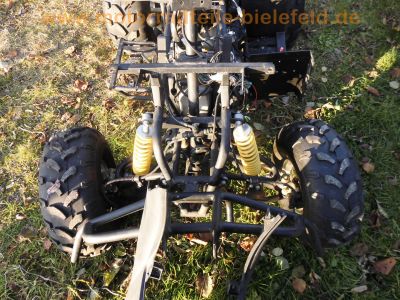 FX150_China-Quad_ATV_4x2_NEU_17.jpg