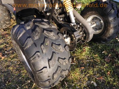 FX150_China-Quad_ATV_4x2_NEU_32.jpg