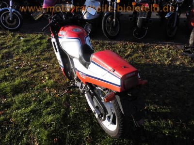Yamaha_FZ750_Genesis_1FN_4-1_Auspuff_von_2KK_und_original_4-2_Auspuff_unverbastelt_und_gepflegt_-_wie_FZ_FZR_FZX_400_750_1000_57.jpg