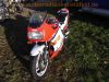 Yamaha_FZ750_Genesis_1FN_4-1_Auspuff_von_2KK_und_original_4-2_Auspuff_unverbastelt_und_gepflegt_-_wie_FZ_FZR_FZX_400_750_1000_55.jpg