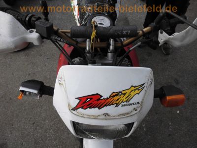 Honda_NX650_Dominator_RD08_rot-weiss_e6_Marving-Auspuff_1-2_Sturzbuegel_-_RFVC-Motor_wie_XBR_GB_500_PC15_PC16_XL600_RM_LM_PD03_PD04_XR600R_PE04_68.jpg