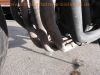Honda_CBR900RR_SC33_Fireblade_schwarz-gelb_Sturz_-_Ersatzteile_wie_SC28_CBR600F_PC25_PC31_PC35_30.jpg