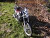 Gilera_Eaglet_50_Chopper_Typ_503_6-Gang_Schaltgetriebe_80kmh_50.jpg