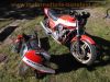 Honda_CB900F2_Boldor_original_rot-weiss_Vollverkleidung_4-2_Auspuff_HM438_37mm-Gabel_Doppelkolben-Bremsanlage_-_wie_CB_750_1100_F_RC04_SC09_SC05_SC08_SC11_3.jpg