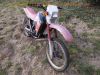 Fantic_Oasis_50_1_FM238_Enduro_Mokick_50kmh_Akront_Alu-Felgen_21x16_18x16_-_wie_Trial_50_Raider_50_1_Caballero_50RC_80RC_Koala_50_80_9.jpg