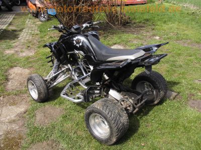 Yamaha_YFM660R_Raptor_AM01W_Quad_ATV_EZ03_Motor_M301E_und_M304E_-_wie_YFM_250_350_660_700_R_YFZ_350_450_Banshee_Grizzly_Rhino_18.jpg