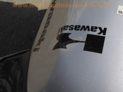 Kawasaki_ZZR600E_ZX600E_silber_1998_98PS_REMUS_4-1_Auspuff_3x_Stahlflex_Bremsleitung_29800_mls_86.jpg