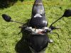 Gilera_DNA125_Leichtkraftrad_Piaggio_M26_2002_-_wie_Gilera_Runner_180_125_50_M07_DNA50_DNA180_50.jpg