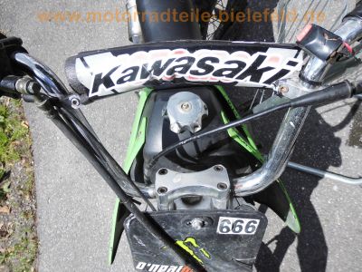 Skyteam_125_Enduro_Vollcross_Pitbike_fuer_Kinder_CRASH_mit_Honda_DAX_Lizenzbau_Motor_-_ideal_für_Tuning_DAX_Monkey_SS50_20.jpg
